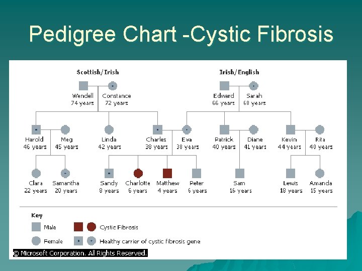 Pedigree Chart -Cystic Fibrosis 