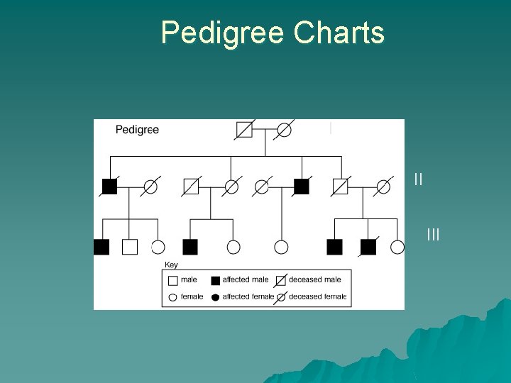 Pedigree Charts I II III 