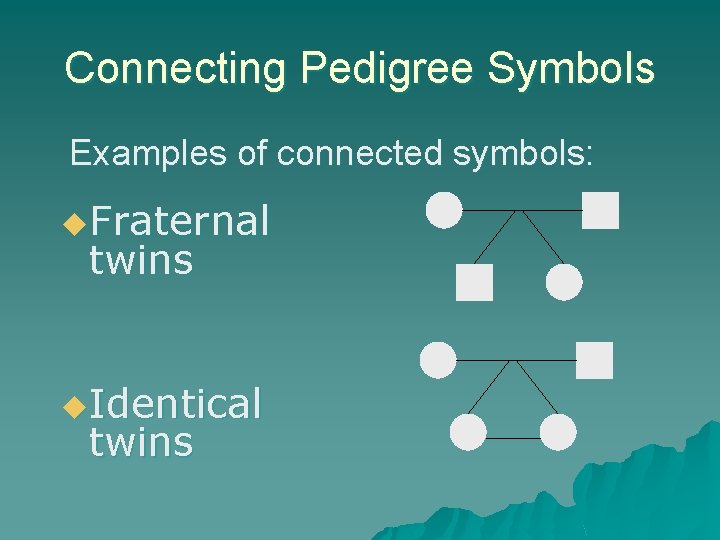 Connecting Pedigree Symbols Examples of connected symbols: u. Fraternal twins u. Identical twins 
