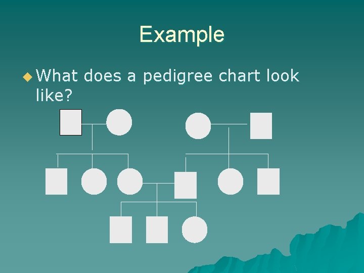 Example u What like? does a pedigree chart look 