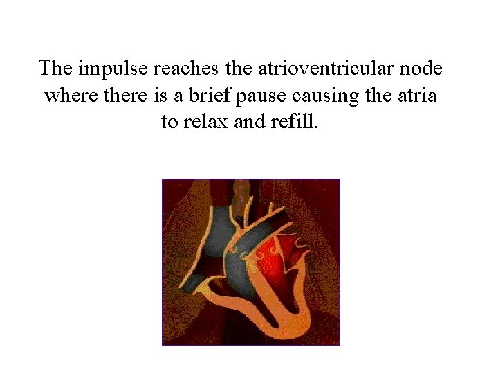 The impulse reaches the atrioventricular node where there is a brief pause causing the