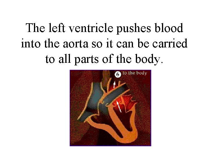 The left ventricle pushes blood into the aorta so it can be carried to