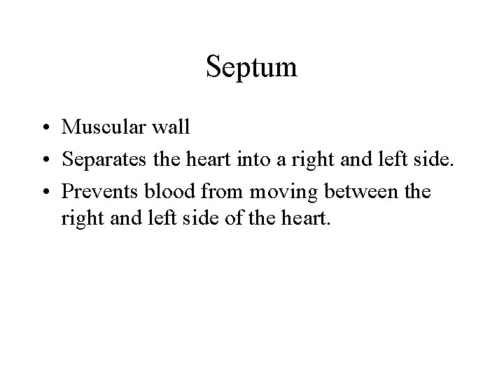Septum • Muscular wall • Separates the heart into a right and left side.
