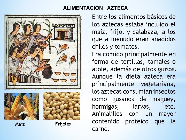 ALIMENTACION AZTECA Maíz Frijoles Entre los alimentos básicos de los aztecas estaba incluido el