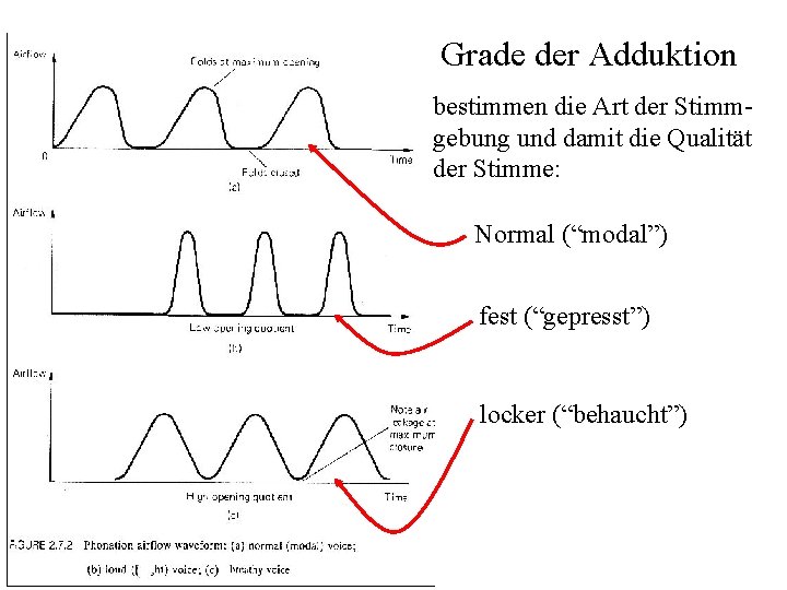 Grade der Adduktion bestimmen die Art der Stimmgebung und damit die Qualität der Stimme: