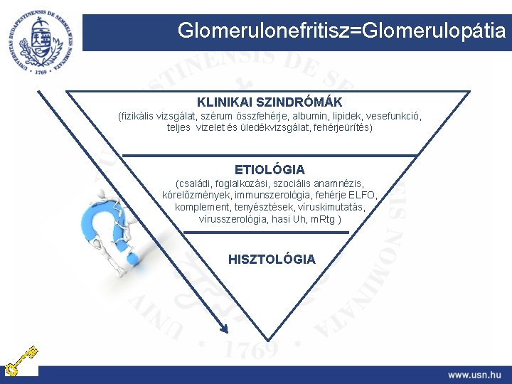 Glomerulonefritisz=Glomerulopátia KLINIKAI SZINDRÓMÁK (fizikális vizsgálat, szérum összfehérje, albumin, lipidek, vesefunkció, teljes vizelet és üledékvizsgálat,