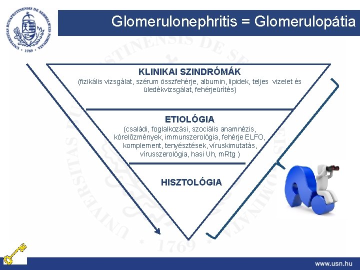 Glomerulonephritis = Glomerulopátia KLINIKAI SZINDRÓMÁK (fizikális vizsgálat, szérum összfehérje, albumin, lipidek, teljes vizelet és