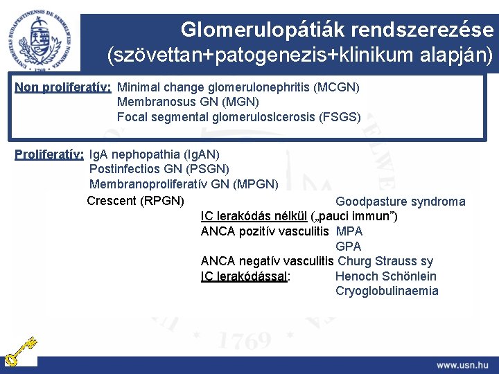 Glomerulopátiák rendszerezése (szövettan+patogenezis+klinikum alapján) Non proliferatív: Minimal change glomerulonephritis (MCGN) Membranosus GN (MGN) Focal