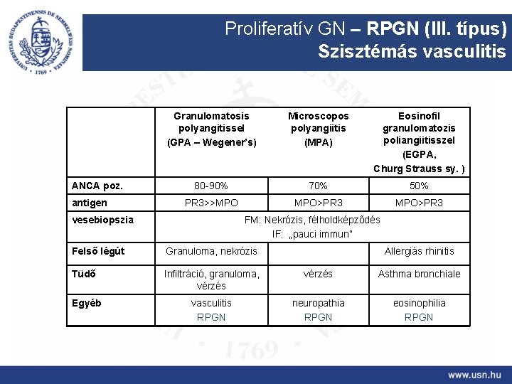 Proliferatív GN – RPGN (III. típus) Szisztémás vasculitis ANCA poz. antigen Granulomatosis polyangitissel (GPA