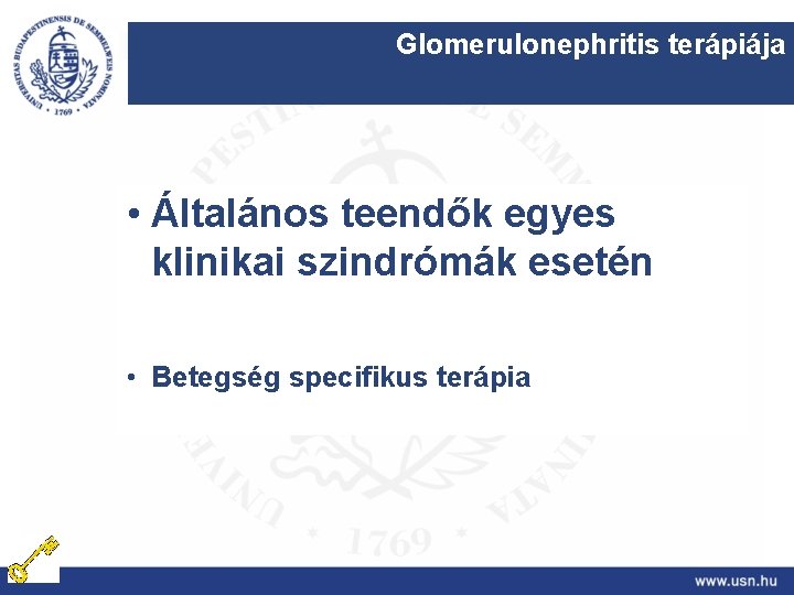Glomerulonephritis terápiája • Általános teendők egyes klinikai szindrómák esetén • Betegség specifikus terápia 