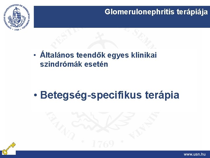 Glomerulonephritis terápiája • Általános teendők egyes klinikai szindrómák esetén • Betegség-specifikus terápia 