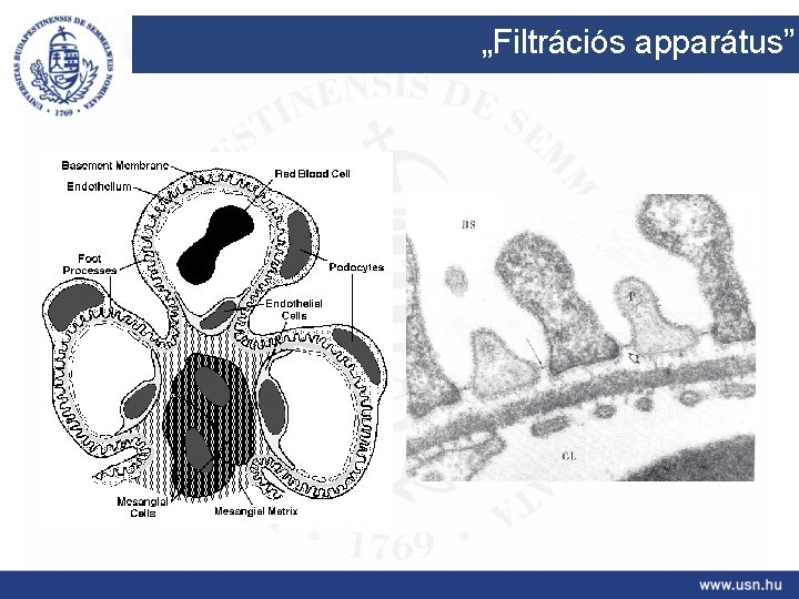 „Filtrációs apparátus” 