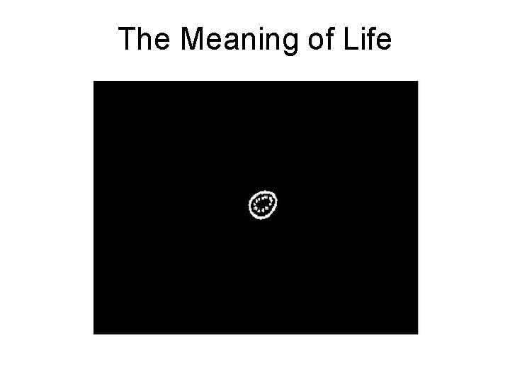 The Meaning of Life 