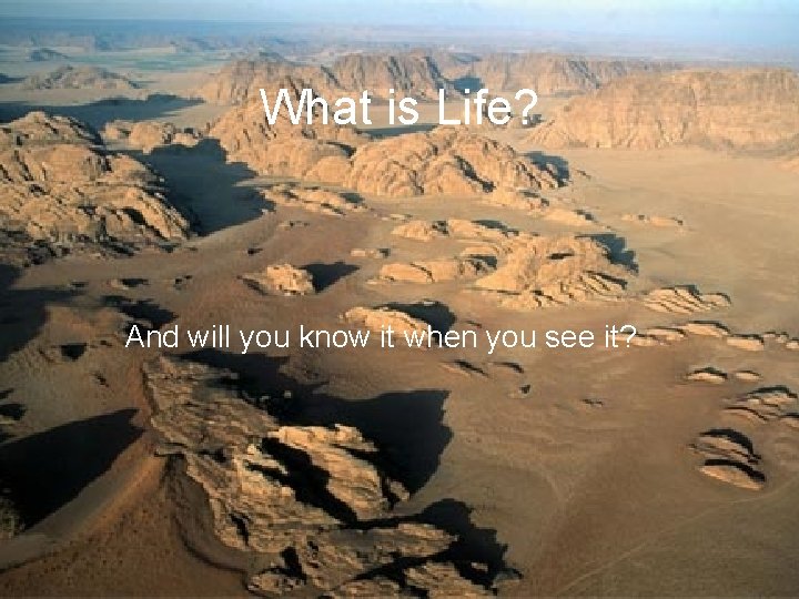 What is Life? And will you know it when you see it? 