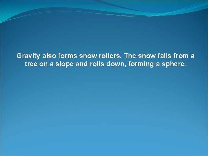 Gravity also forms snow rollers. The snow falls from a tree on a slope