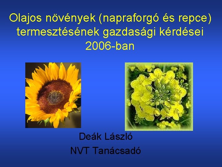 Olajos növények (napraforgó és repce) termesztésének gazdasági kérdései 2006 -ban Deák László NVT Tanácsadó