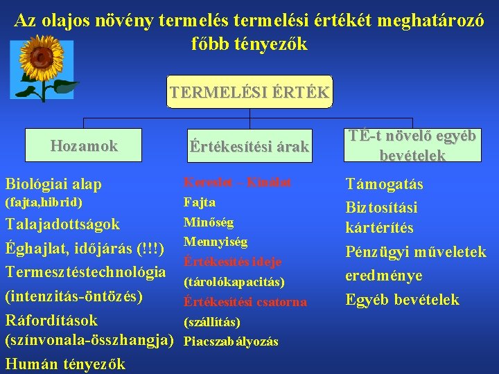 Az olajos növény termelési értékét meghatározó főbb tényezők TERMELÉSI ÉRTÉK Hozamok Biológiai alap (fajta,