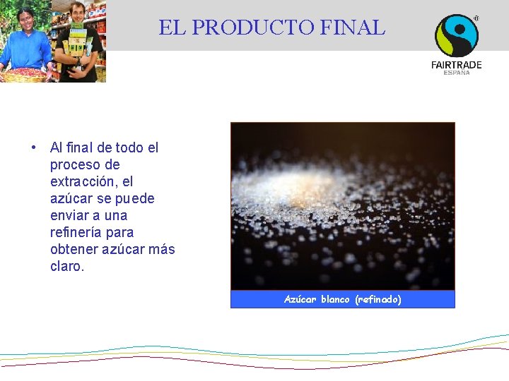 EL PRODUCTO FINAL • Al final de todo el proceso de extracción, el azúcar