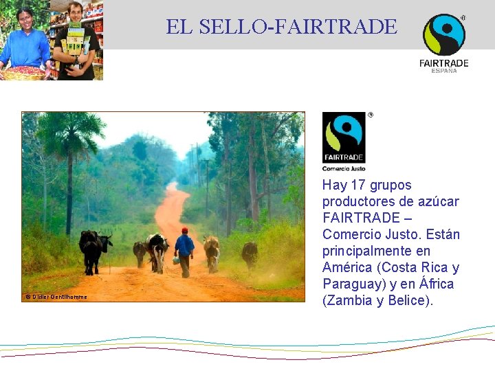 EL SELLO-FAIRTRADE © Didier Gentilhomme Hay 17 grupos productores de azúcar FAIRTRADE – Comercio