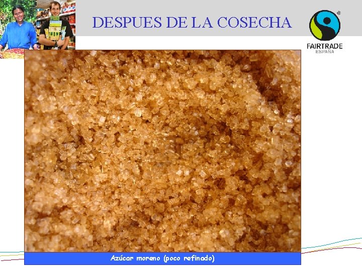 DESPUES DE LA COSECHA © Asociación azucarera de El Salvador Azúcar moreno (poco refinado)