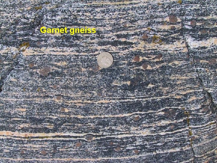 Garnet gneiss 