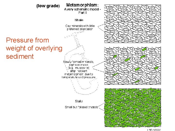 (low grade) Pressure from weight of overlying sediment 