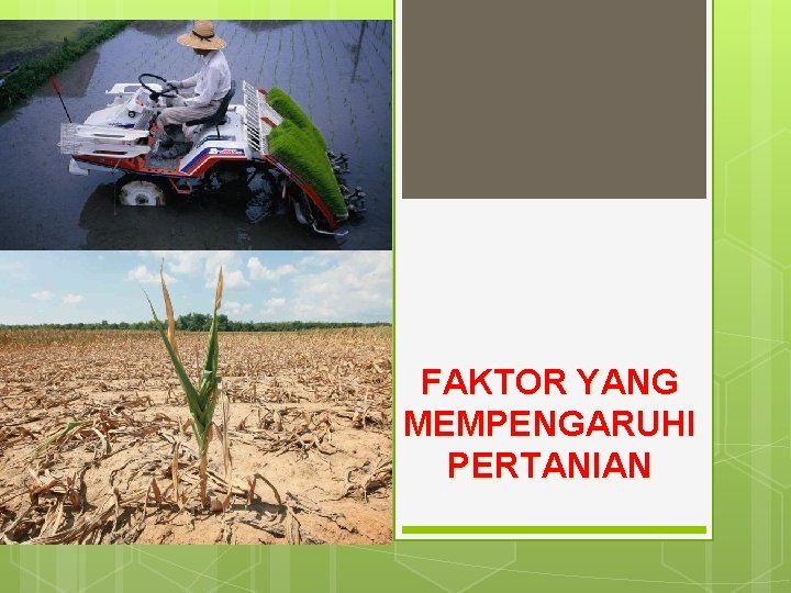 FAKTOR YANG MEMPENGARUHI PERTANIAN 