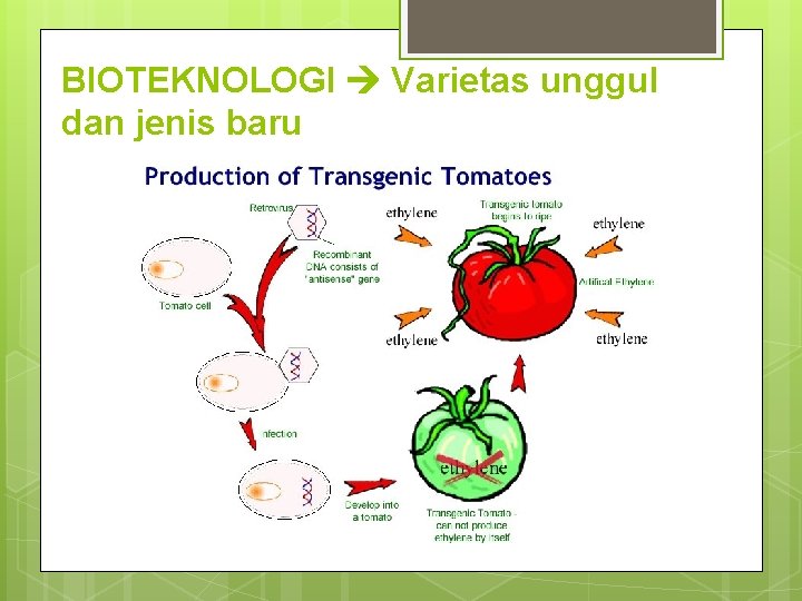 BIOTEKNOLOGI Varietas unggul dan jenis baru 