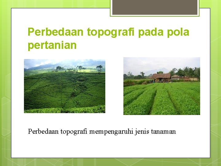 Perbedaan topografi pada pola pertanian Perbedaan topografi mempengaruhi jenis tanaman 