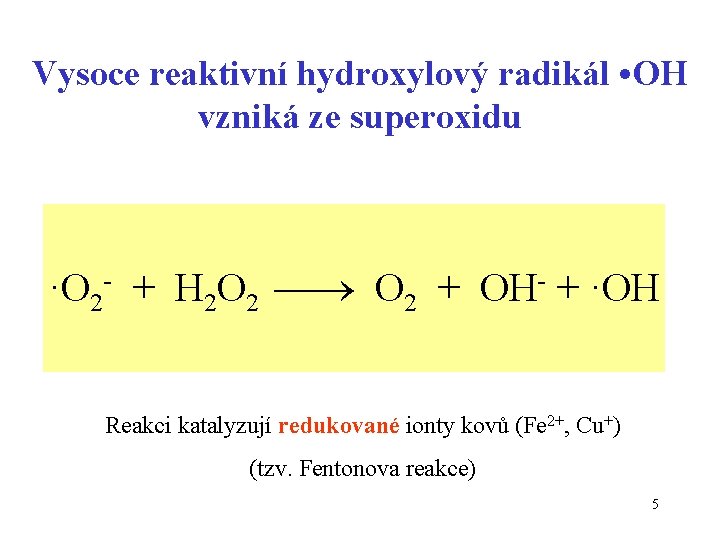 Vysoce reaktivní hydroxylový radikál • OH vzniká ze superoxidu ·O 2 - + H