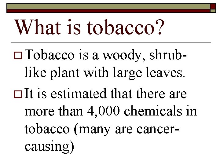 What is tobacco? o Tobacco is a woody, shrublike plant with large leaves. o