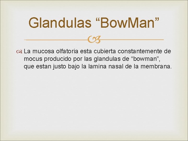 Glandulas “Bow. Man” La mucosa olfatoria esta cubierta constantemente de mocus producido por las