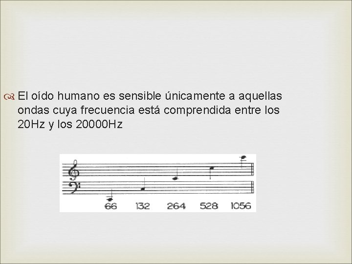  El oído humano es sensible únicamente a aquellas ondas cuya frecuencia está comprendida