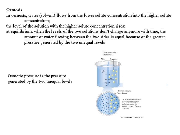 Osmosis In osmosis, water (solvent) flows from the lower solute concentration into the higher