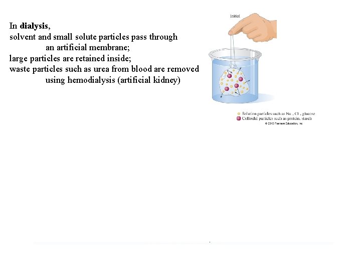 In dialysis, solvent and small solute particles pass through an artificial membrane; large particles