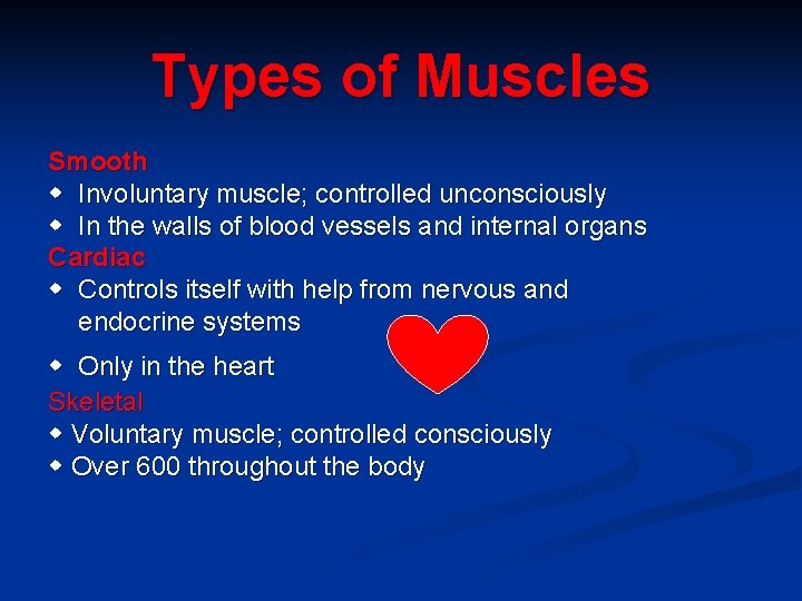 Types of Muscles Smooth w Involuntary muscle; controlled unconsciously w In the walls of