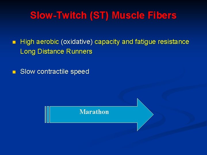 Slow-Twitch (ST) Muscle Fibers n High aerobic (oxidative) capacity and fatigue resistance Long Distance