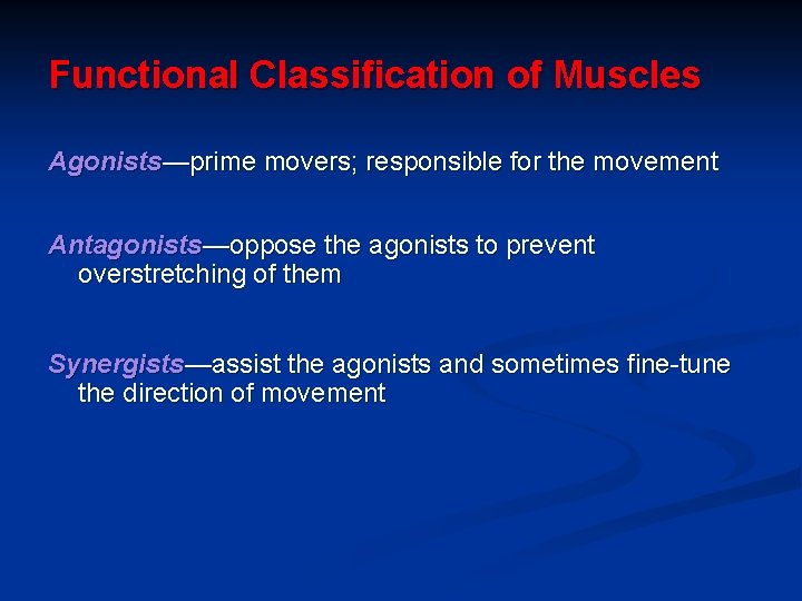 Functional Classification of Muscles Agonists—prime movers; responsible for the movement Antagonists—oppose the agonists to