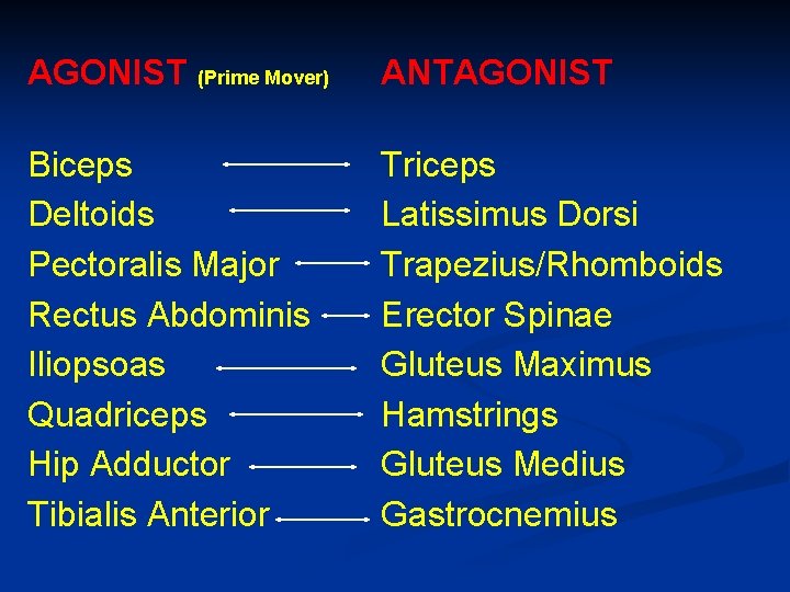 AGONIST (Prime Mover) ANTAGONIST Biceps Deltoids Pectoralis Major Rectus Abdominis Iliopsoas Quadriceps Hip Adductor