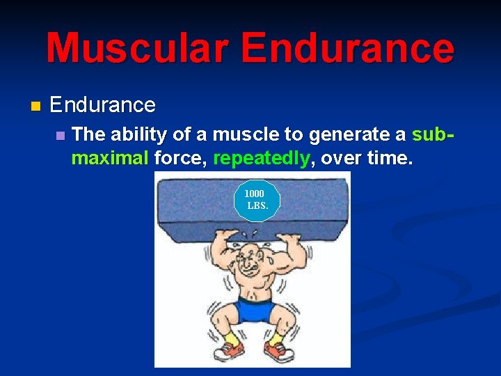 Muscular Endurance n The ability of a muscle to generate a submaximal force, repeatedly,