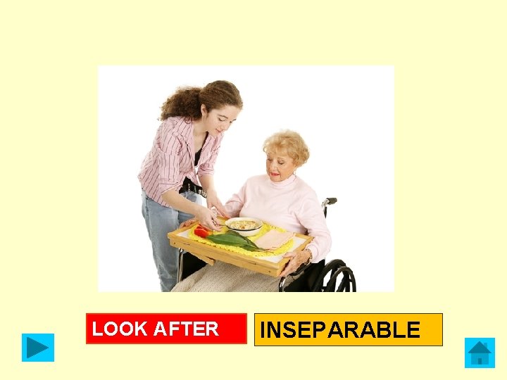 LOOK AFTER INSEPARABLE 