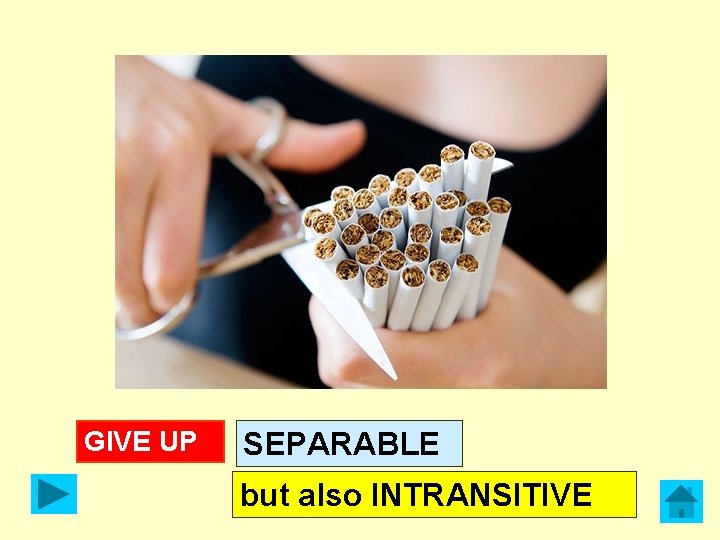 GIVE UP SEPARABLE but also INTRANSITIVE 