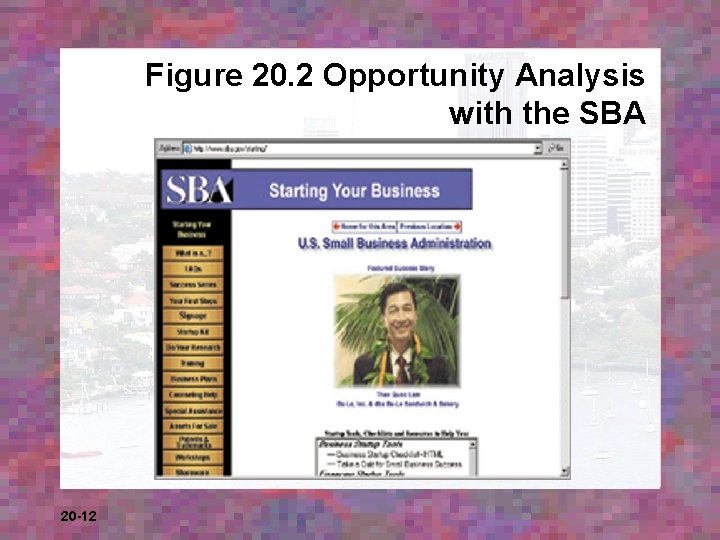 Figure 20. 2 Opportunity Analysis with the SBA 20 -12 