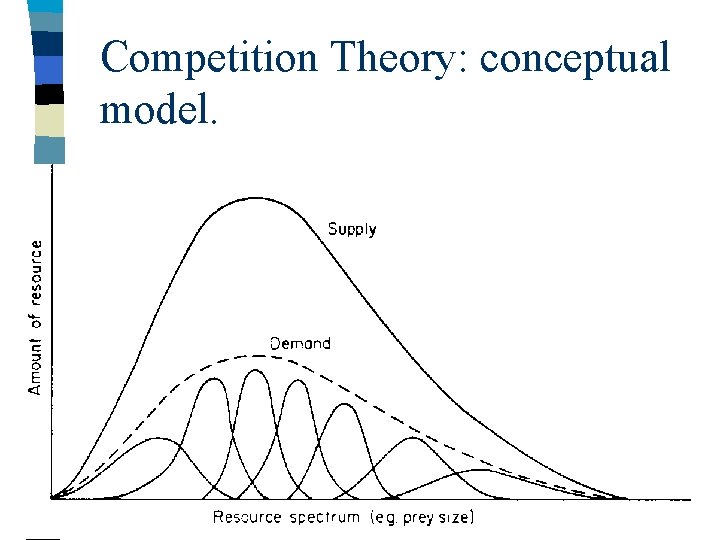 Competition Theory: conceptual model. 