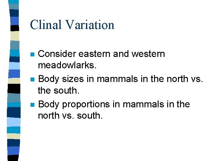 Clinal Variation n Consider eastern and western meadowlarks. Body sizes in mammals in the