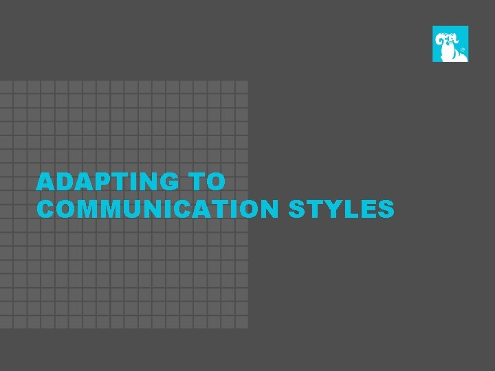 ADAPTING TO COMMUNICATION STYLES 