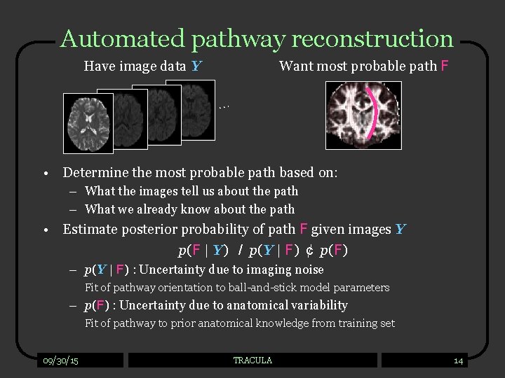 Automated pathway reconstruction Have image data Y Want most probable path F … •