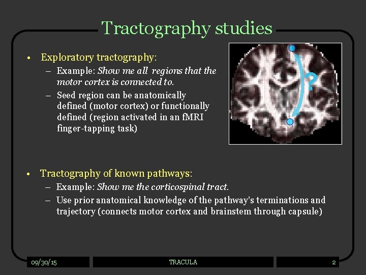 Tractography studies • Exploratory tractography: – Example: Show me all regions that the motor