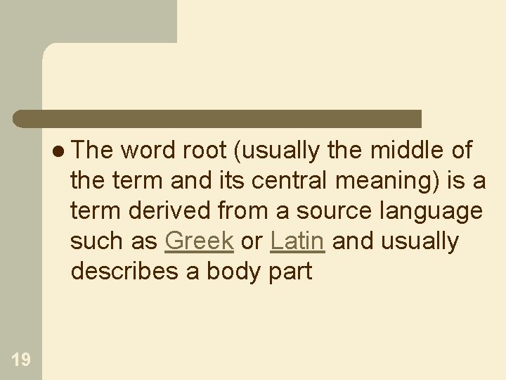 l The word root (usually the middle of the term and its central meaning)