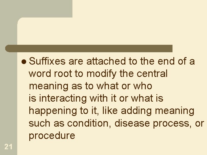 l Suffixes are attached to the end of a word root to modify the